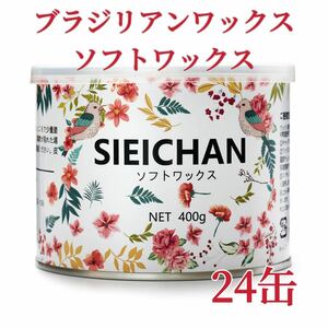 ブラジリアンワックス　ソフトワックス　24缶　ブラジリアン脱毛ワックス　送料込み-①