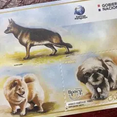 52501セール現品限り　外国切手未使用　パラグアイ発行犬小型シート