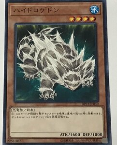 遊戯王 ノーマル 効果モンスター 1枚 ハイドロゲドン DP18