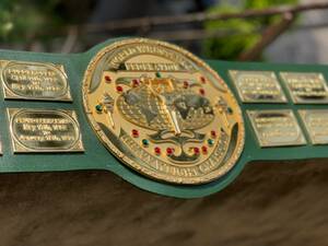 海外　限定 送料込み　 WWF heavyweight championship 　Big green World　プロレス　レスリング　チャンピオンベルト　小道具　レプリカ