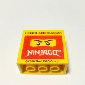 レゴランド ファクトリー ニンジャゴー 限定ブロック ハロウィンLEGO