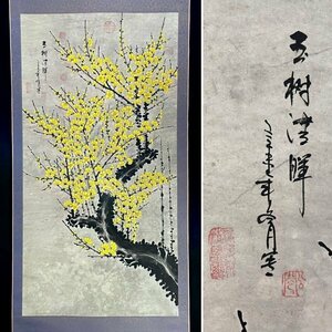 ［模写］ 作者不明「黄梅」紙本 花図 中国画 絵画 中国美術 人が書いたもの 掛軸 Ｋ040905