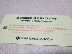 ☆送料無料☆東京ディズニーリゾート株主優待パスポート　☆２枚組☆（有効期限2024年6月30日）