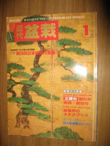 近代盆栽　１９９１年１月号　第１６回日本盆栽作風展