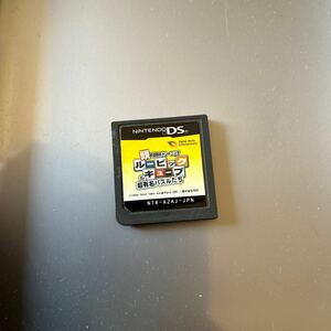 Nintendo DS 頭の回転のトレーニング ルービックキューブ&超有名パズルたち ニンテンドー ゲーム ソフト 本体 ニンテンドーDS 任天堂
