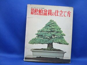 図解 松柏盆栽の仕立て方 ガーデンライフ別冊 誠文堂新光社 1975年 昭和50年/32807