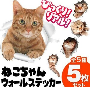 リアルなねこちゃん 全５種猫ウォールステッカー ５枚セット