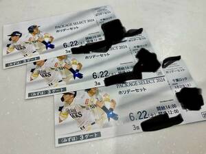 ソフトバンクホークス観戦チケット　6月22日(土) ソフトバンク対千葉ロッテ　3連番