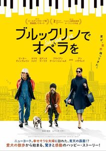 映画『ブルックリンでオペラを』ムビチケ前売券(オンライン) ペア 2名様 番号通知のみ 送料無料 映画鑑賞券 ペアチケット アン・ハサウェイ