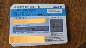 全日空ANA 株主優待券【国内線】☆番号通知のみ　１〜９枚　2024/5/31有効期間