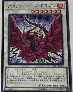 遊戯王 ノーマル シンクロ 1枚 ブラック・ローズ・ドラゴン DP21