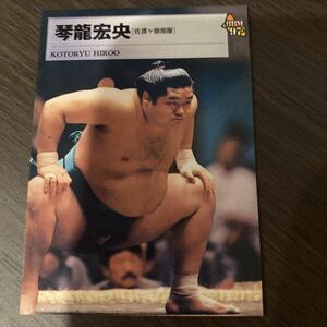 ９７ＢＢＭ　２９　琴龍　宏央　大相撲カード