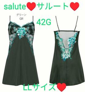 Wacoal/ワコール/salute/サルート/42G/みずがめ座/水瓶座/アクエリアス/スリップ/LL/GR/STJ242/完売/稀少サイズ/LLサイズ