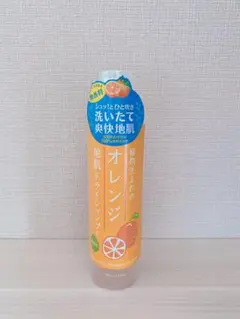 【新品・未開封】石澤研究所 植物生まれのオレンジ地肌ドライシャンプー