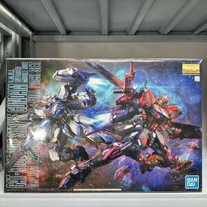 バンダイ 正規品 中国紅 Ver.リマスター フルパックセット MG 1/100 エール ストライク RM ガンダム 