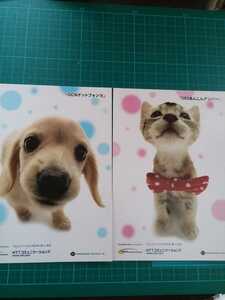 犬　猫　ポストカード 2枚　NTTコミュニケーションズ　森田米雄 写真