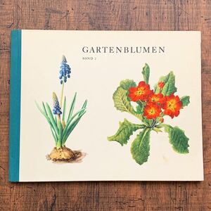 ドイツの古い植物図鑑(GARTENBLUMEN 2)/アンティーク ヴィンテージ 植物画 花の絵 洋書 ボタニカルアート イラスト 雰囲気◎/