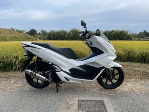 PCX125 JF81 程度良好　各所メンテナンス済み　スマートキー　自賠責付き　全国配送