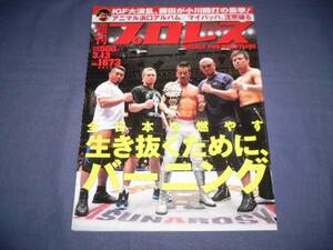 週刊プロレス 2013/3/13/no.1673 金丸義信/近藤修司/大森隆男/秋山準/アニマル浜口/吉野正人