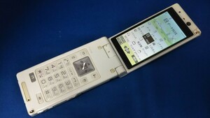 D5002 docomo FOMA P-01B Panasonic パナソニック/ガラケー/ケータイ 折畳式 簡易動作確認＆簡易清掃＆初期化OK 判定○ 現状品 送料無料　