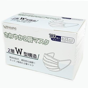 TENKAPAS 2層マスク 5000枚 (1箱100枚入×50箱) レギュラーサイズ mask07