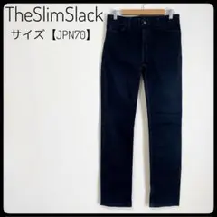 AMERICAN APPAREL THE SLIM SLACK　パンツ　アメアパ