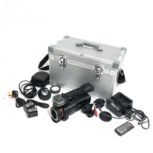 SONY NEX-VG900 レンズ交換式 デジタルHDビデオカメラレコーダー QR051-313