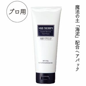 美容室専売 美髪 ヘアパック トリートメント 海泥 マッドテラピー スーパーリバイブ 210g RH2000 コエンザイム配合 保湿 全国送料無料