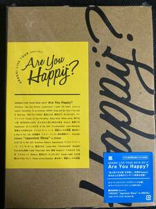 嵐　Are You Happy?　初回限定　DVD　