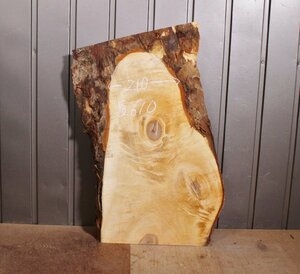 《140サイズ》橡　トチ材　tci_0451　DIY板材　木材／端材　