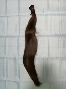 髪の毛　髪束　約70cm 約170グラム