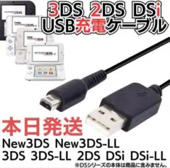 本日発送Nintendo 3DS&2DS対応/充電器ケーブル　ia