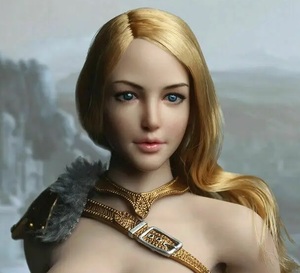 1/6 汎用 アクションフィギュア カスタム 交換ヘッド 1/6 端正 女性 外国人 美人 金髪 ブロンズヘア 12インチ PVC フェイス G443