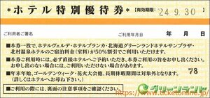 グリーンランドリゾートホテルペア宿泊50%OFF 1枚　2024年9月末