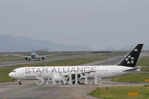 D【航空機写真】Ｌ版２枚　アシアナ航空　B767-300　スターアライアンス塗装機　関西空港