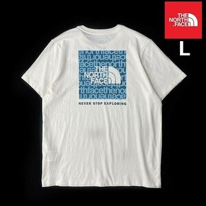 1円～!売切!【正規新品】THE NORTH FACE◆W SHORT-SLEEVE BOX NSE TEE 半袖 Tシャツ US限定 ボックスロゴ 男女兼用 登山(L)白 180902-15