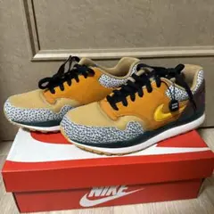 NIKE AIR SAFARI ATMOS (2018) 26センチ