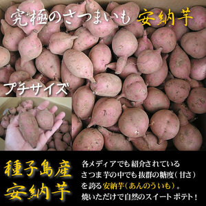 ワケアリ 種子島産安納芋3Sプチサイズ5キロ 農薬不使用 無化学肥料