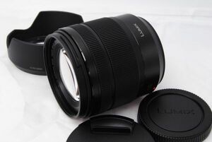 新品級 ★パナソニック ルミックス H-FS12060 G VARIO 12-60mm/F3.5-5.6 ASPH./POWER ★ 20240405_B01C5UPJQW