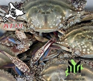 北海道産　ワタリガニ　メス内子入り　2㎏、