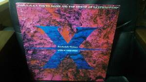 X-JAPAN 1992 東京ドーム3Days 破滅に向かって ピクチャーレコード型パンフレット