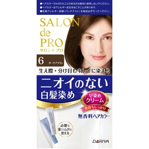 Sプロ無香料ヘアカラー早染めC(白髪用)6