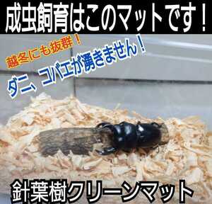 クワガタ、カブトムシの成虫管理はこれが一番！爽やかな香りの針葉樹マット☆ケース内が明るくなり生体が目立ちます！ダニがわきません！