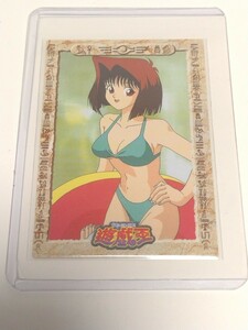 遊戯王 初期 完美品 水着 真崎杏子 東映 1998 希少