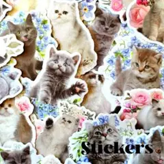 ステッカー　ネコと花B　30枚　紙素材シール　猫のシール　ジャンクジャーナル素材