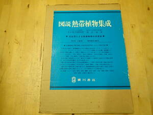 『B28C1』図説 熱帯植物集成 廣川書店 写生図による熱帯植物の決定版/自生種/栽培種/E.J.H CORNER 渡辺清彦 図表 研究 学者向け 事典　図鑑