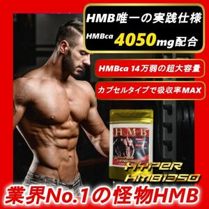 HMB量13万超のハイスペック!!　1粒1350mgにUPした業界トップHMB　100錠 【マイプロテイン2本弱分／ビルドマッスル・メタルマッスル３袋分】