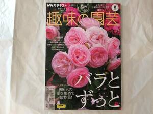 NHKテキスト 趣味の園芸 2024年5月号