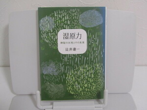 SU-16058 湿原力・神秘の大地とその未来 辻井達一 北海道新聞社 本 初版