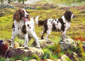 OTT 75804 1000ピース ジグソーパズル イギリス発売 スパニエル Spaniels On Moor